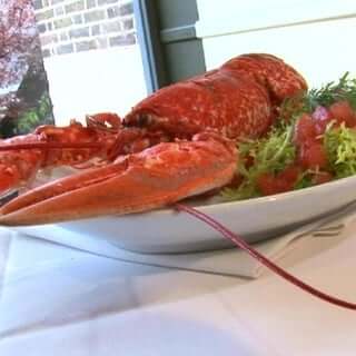 lobster